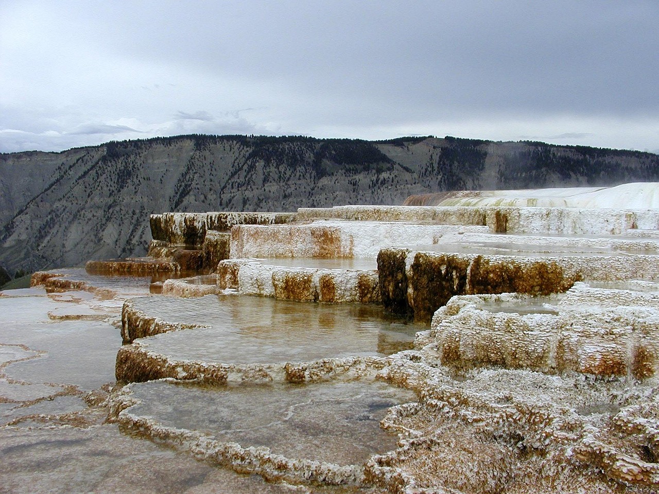 mammoth hot springs