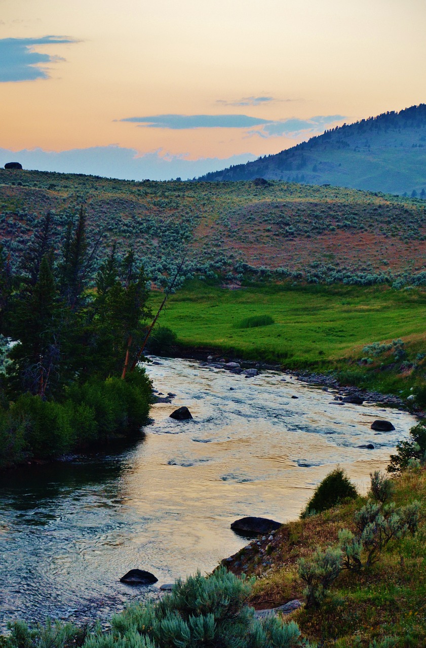lamar valley