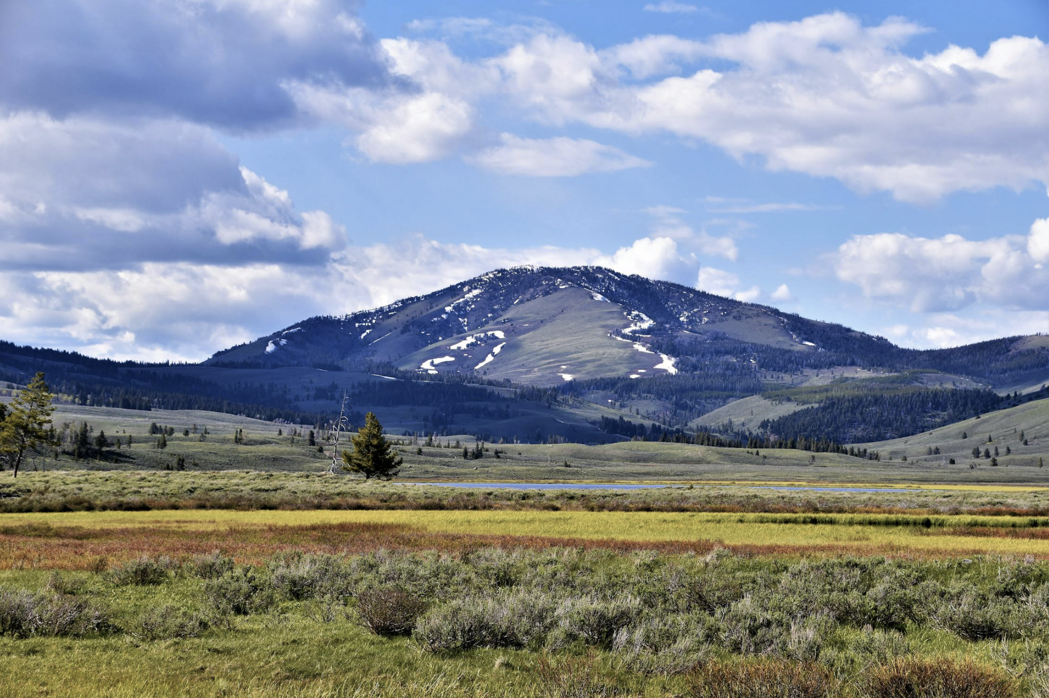 5 Unexpected Things to Do in West Yellowstone