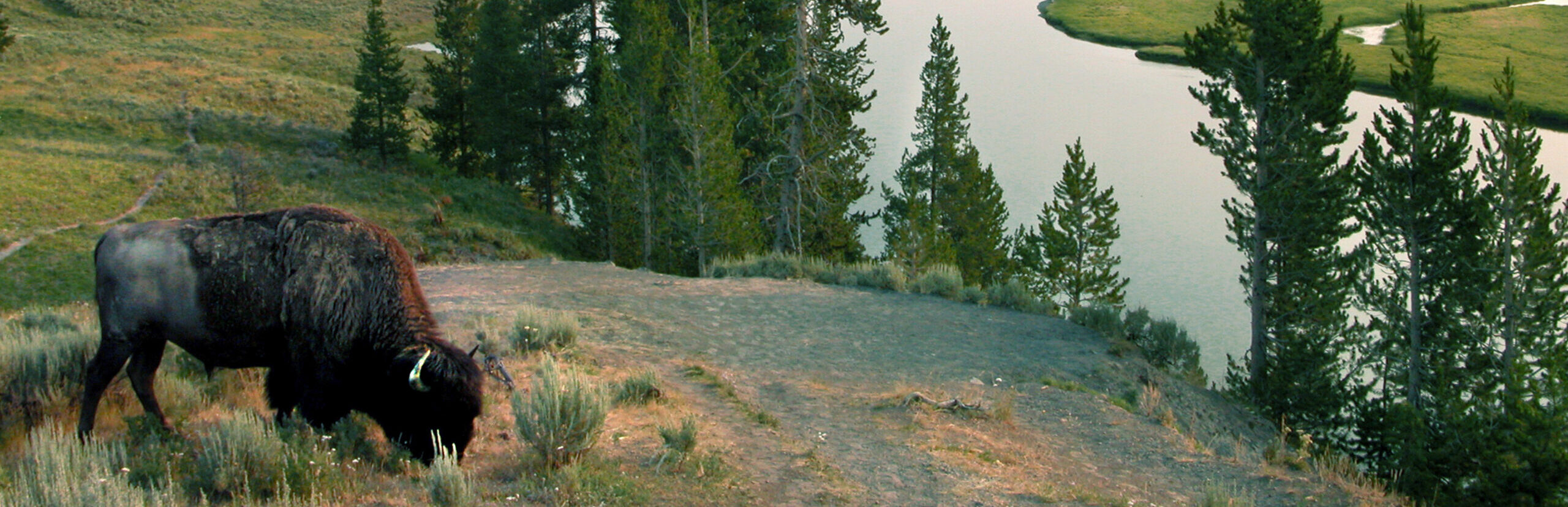 Your Family Guide to Yellowstone, MT