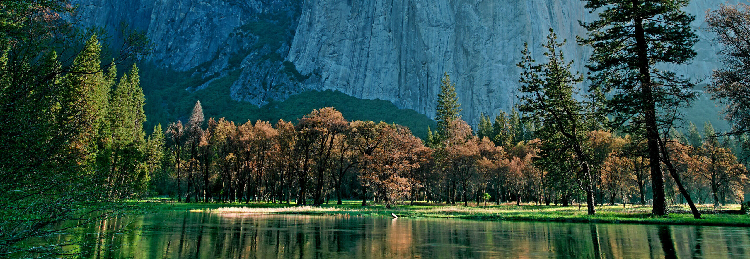 We Asked 5 Yellowstone Experts What First-Time Visitors Need to Know This Summer