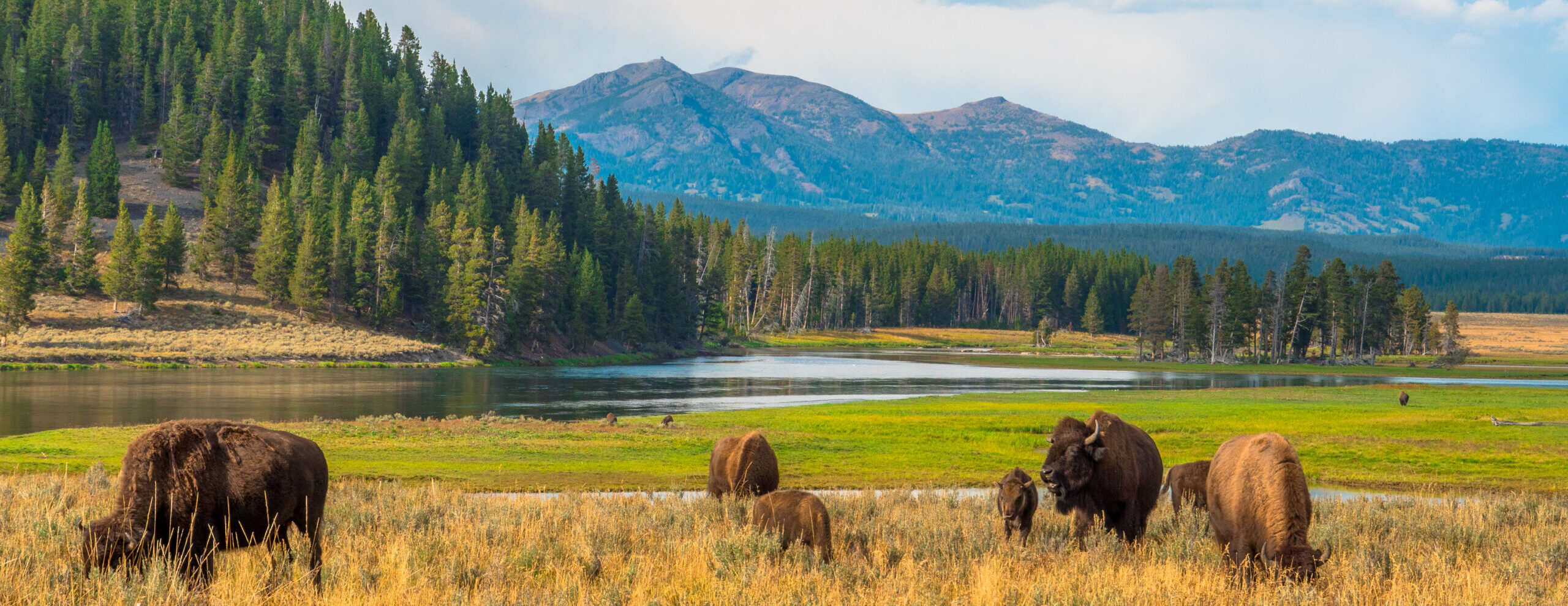 A Perfect 3-Day Summer Itinerary Around Yellowstone