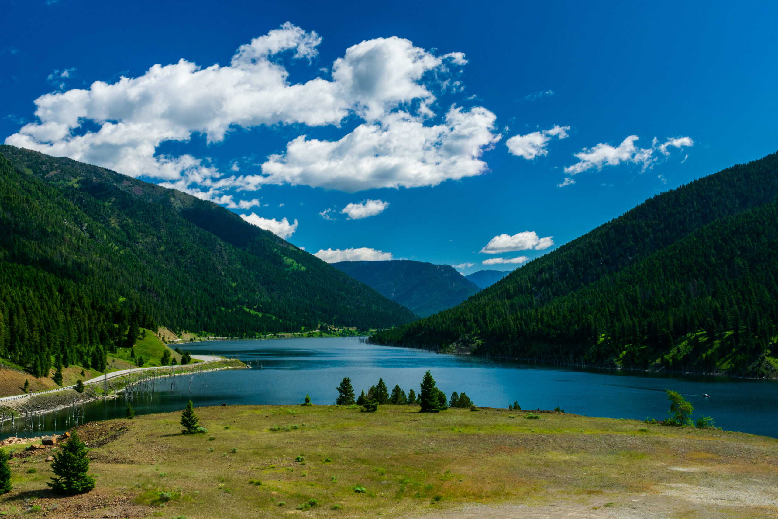 Summer View of Earthquake Lake, near Yellowstone National Park, Montana